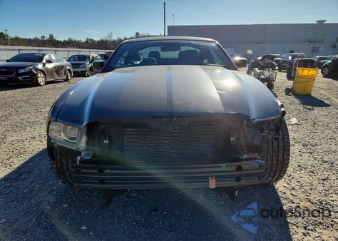 2013 Ford Mustang z USA, uszkodzony, nr VIN 1ZVBP8AM3D5260872